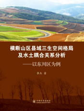 以东川区为例