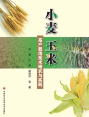 小麦玉米高产栽培技术研究与实践
