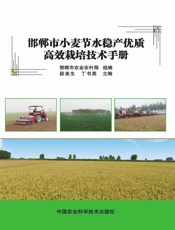 邯郸市小麦节水稳产优质高效栽培技术手册