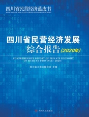 四川省民营经济发展综合报告·2019年