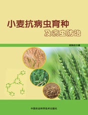 小麦抗病虫育种及病虫防治