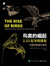 鸟类的崛起