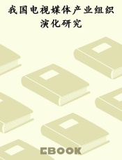 我国电视媒体产业组织演化研究