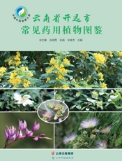 云南省开远市常见药用植物图鉴