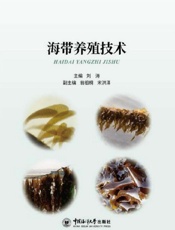 海带养殖技术