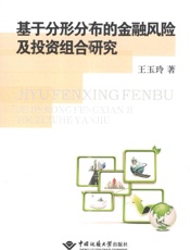 基于分形分布的金融风险及投资组合研究