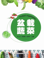盆栽蔬菜