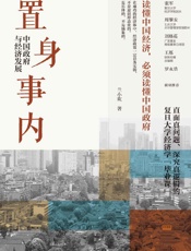 置身事内