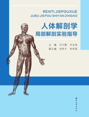 人体解剖学局部解剖实验指导