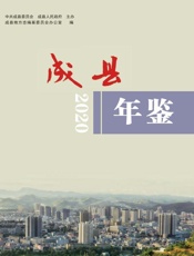 成县年鉴.2020
